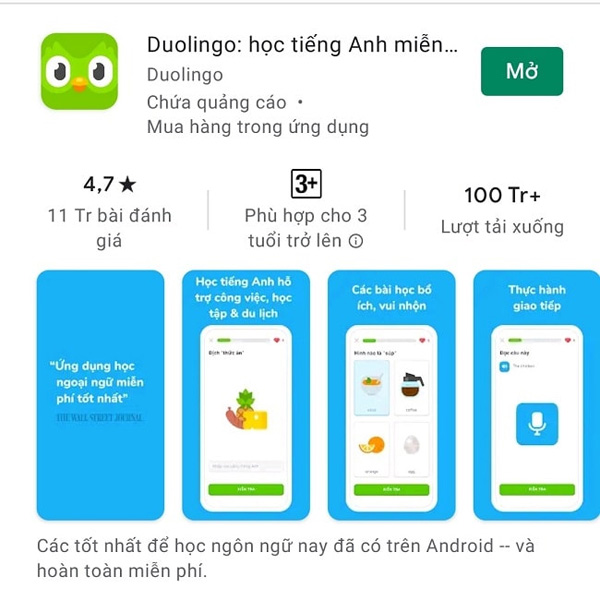 Duolingo là app học tiếng Anh cho người mất gốc miễn phí