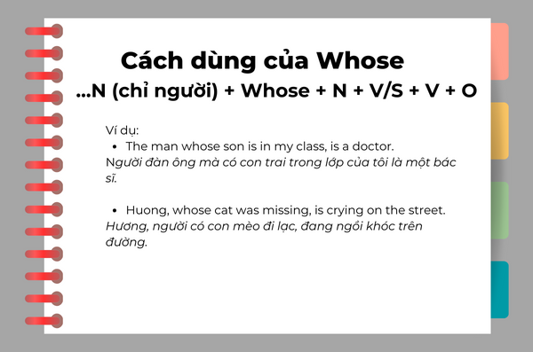 Cách dùng của Whose